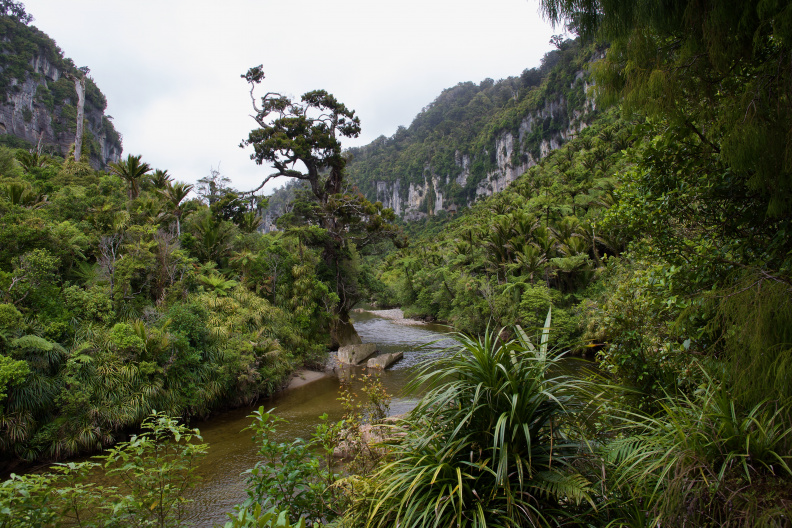 Pororari River, Paparoa National park