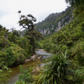 Pororari River, Paparoa National park