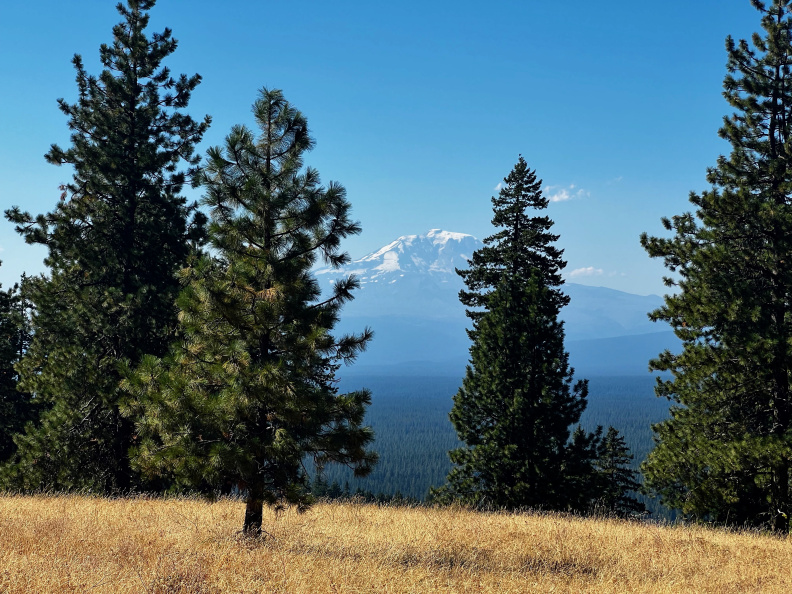 Mount Adams, from 46 Degrees North, 121 Degrees West