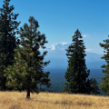 Mount Adams, from 46 Degrees North, 121 Degrees West