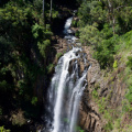 Queen Mary Falls