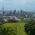 Auckland CBD from Mount Eden