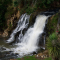 Waitangi Falls, near Waiuku