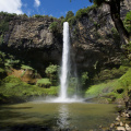 Bridal Veil Falls, near Raglan