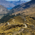 The "Rude Rock" trail, near Coronet Peak