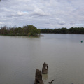 Confluence of the Murray and Darling Rivers, Wentworth