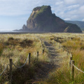 Lion Rock, Piha Beach
