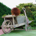 DSC 4879