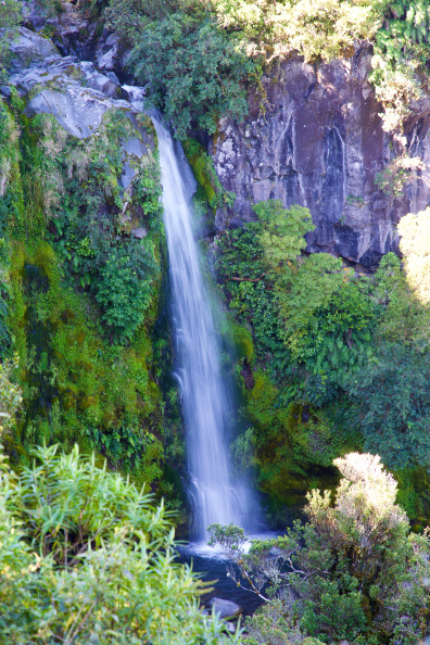 Dawson Falls, Egmont National Park