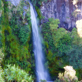 Dawson Falls, Egmont National Park