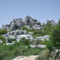 DSC 5462