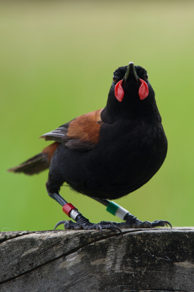 At Shakespear Regional Park, Auckland