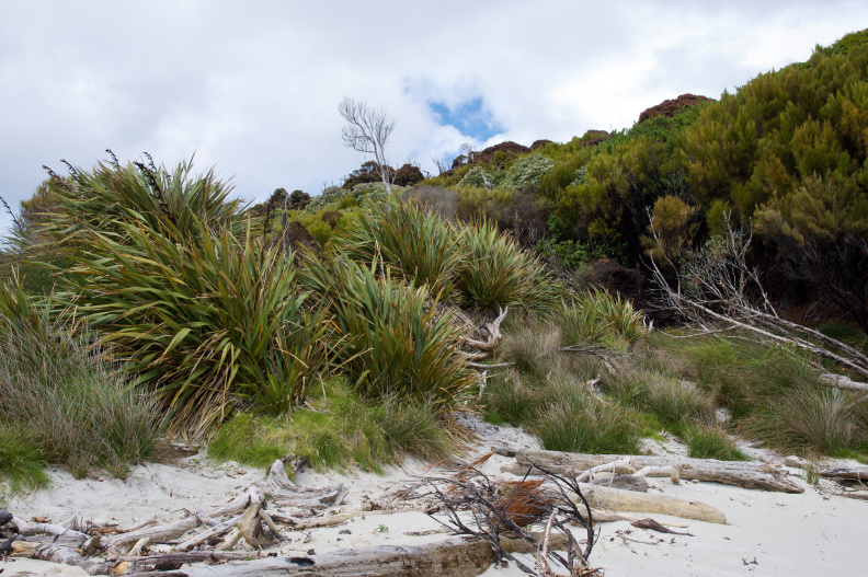 Broad Bay