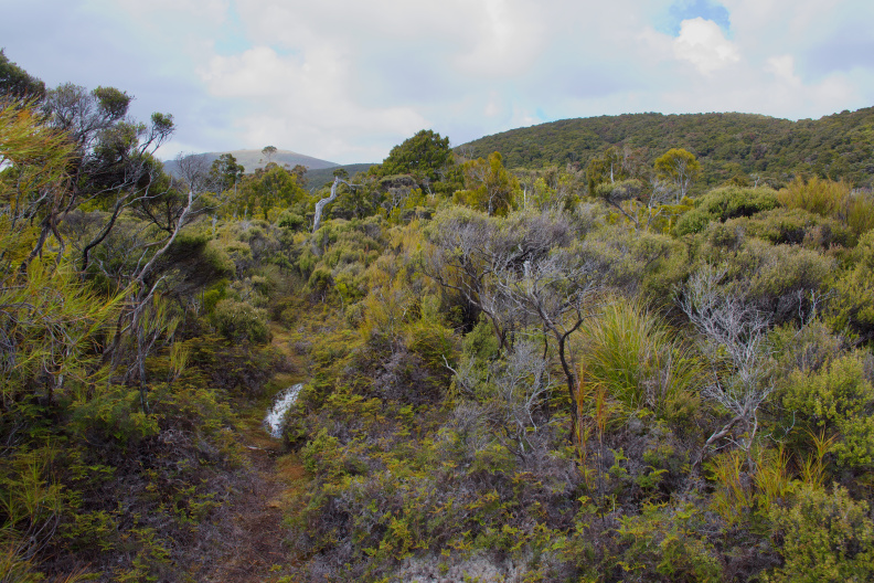On the Tin Range Surveyors Track