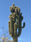Arizona